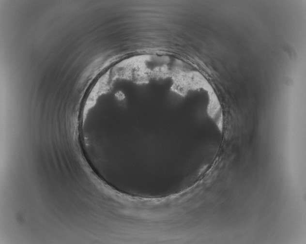 X0000114190002200911061413