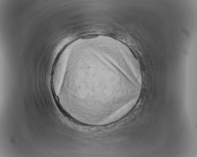 X0000114190003200911061413