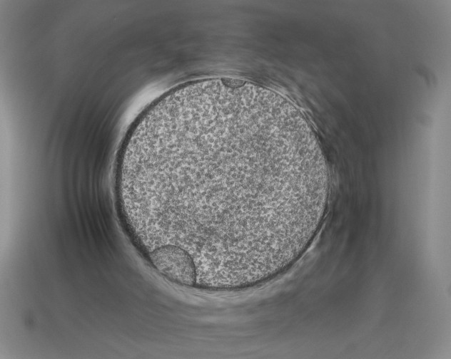 X0000114190006200911061413