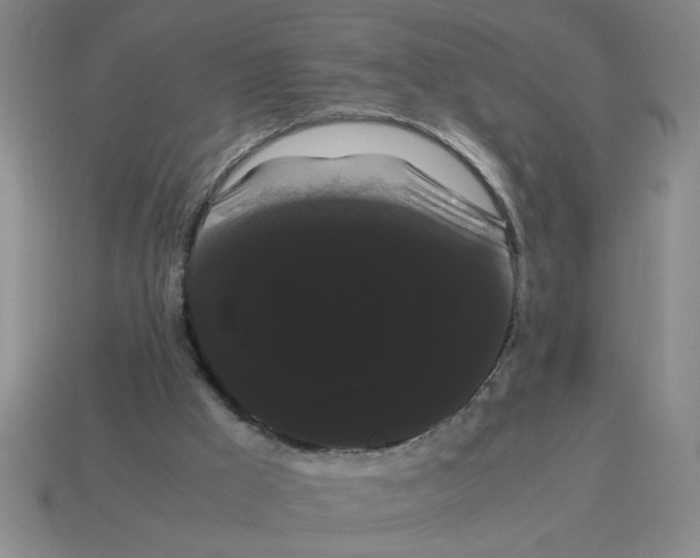 X0000114190009200911061413