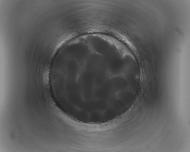 X0000114190010200911061413