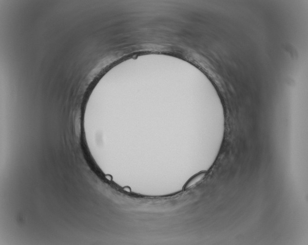 X0000114190011200911061413