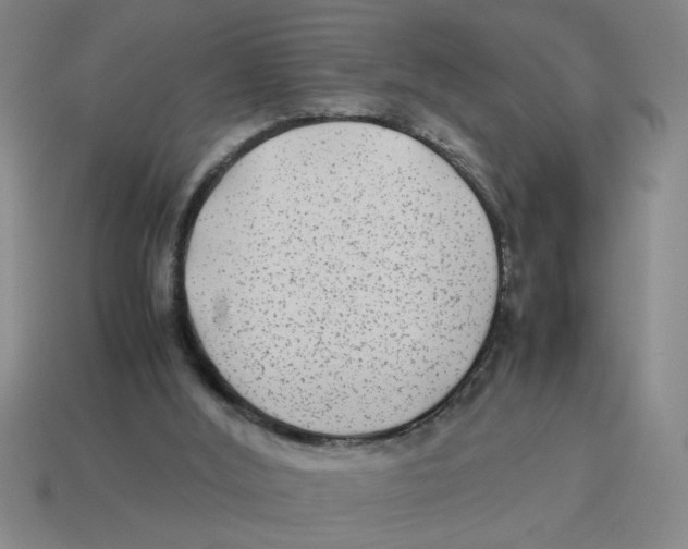 X0000114190012200911061413