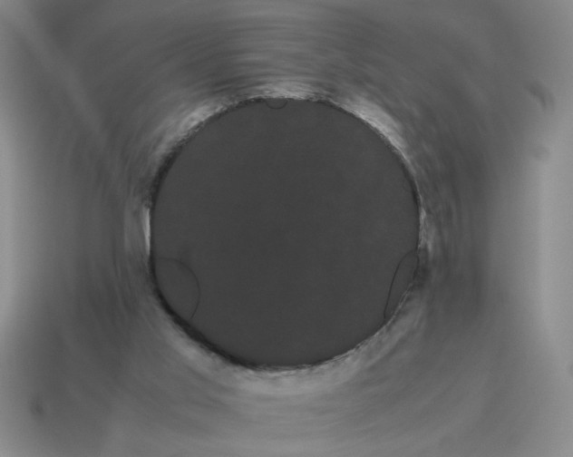 X0000114190013200911061413