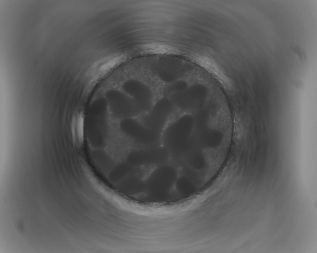 X0000114190014200911061413