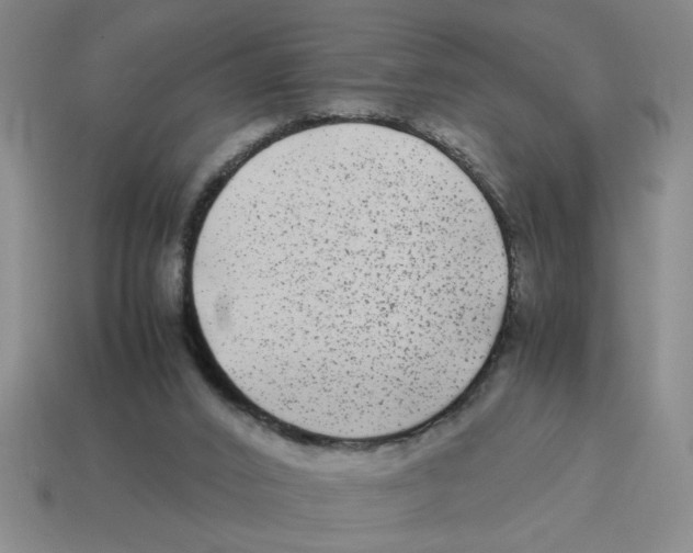 X0000114190016200911061413