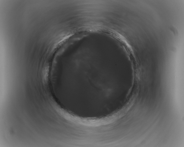 X0000114190018200911061413