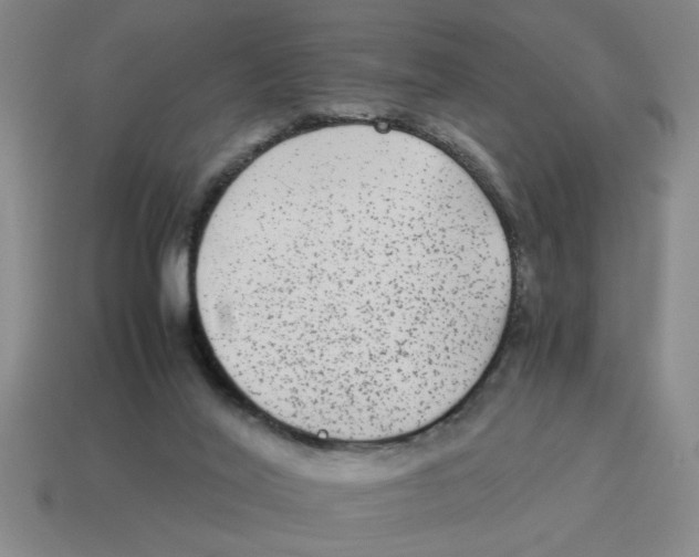 X0000114190020200911061413