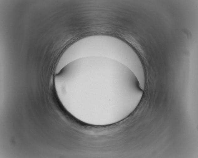 X0000114190021200911061413