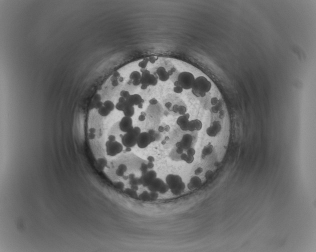 X0000114190022200911061413