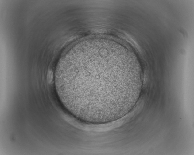 X0000114190025200911061413