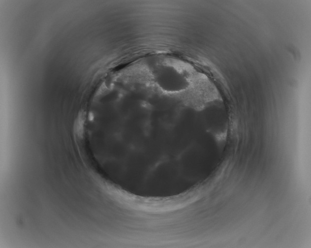 X0000114190026200911061413