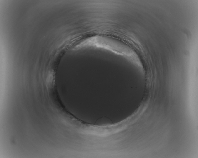 X0000114190029200911061413