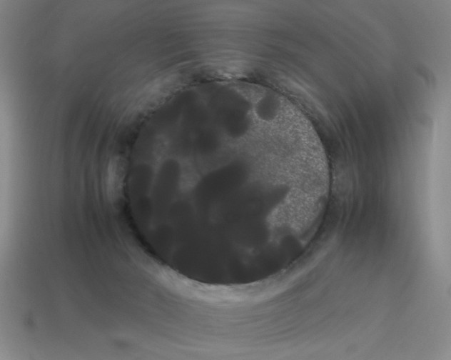 X0000114190030200911061413