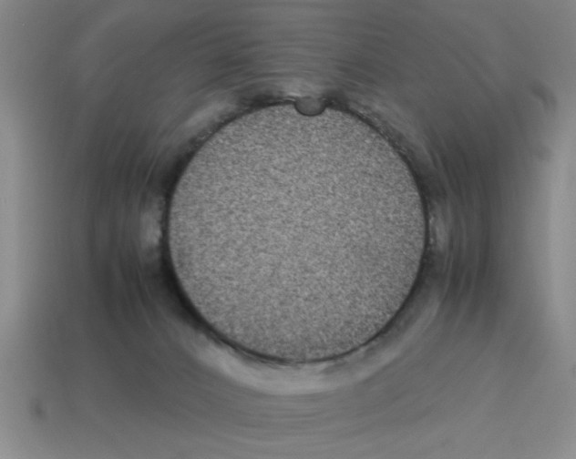 X0000114190032200911061412