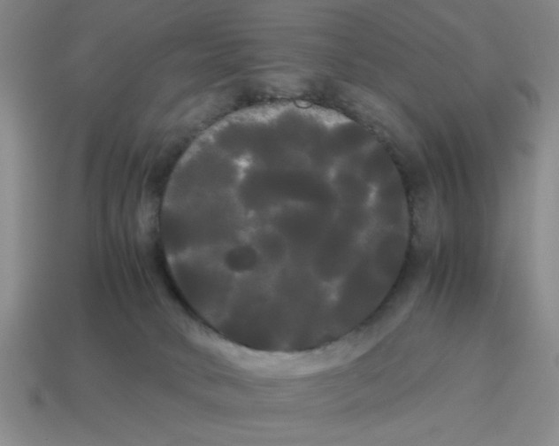 X0000114190034200911061412