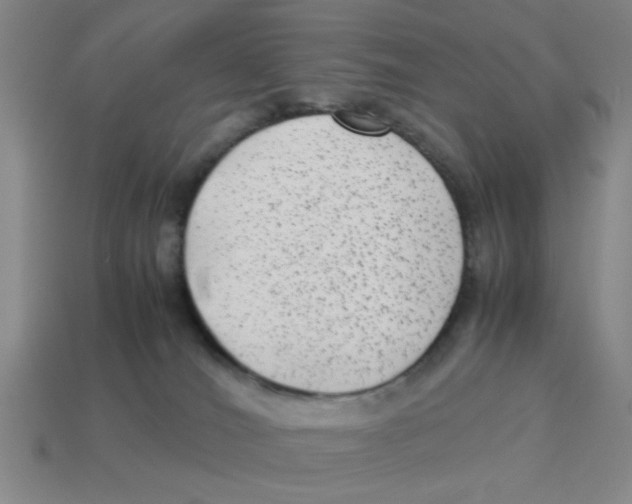 X0000114190036200911061412