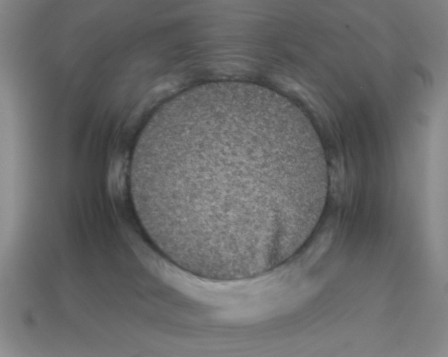 X0000114190038200911061412