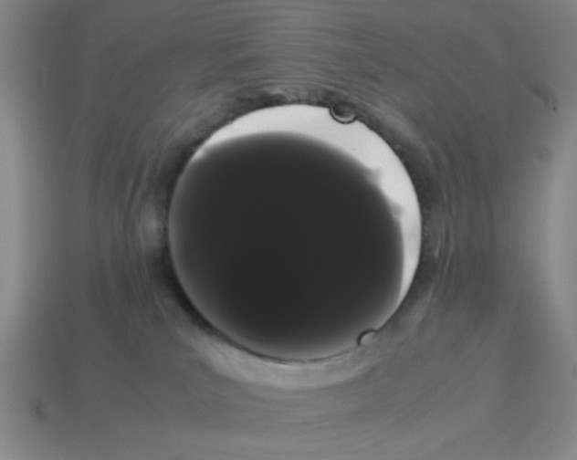 X0000114190039200911061412