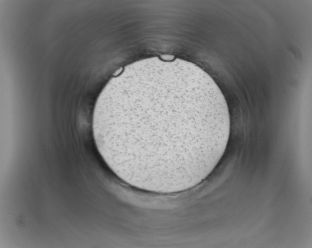 X0000114190040200911061412