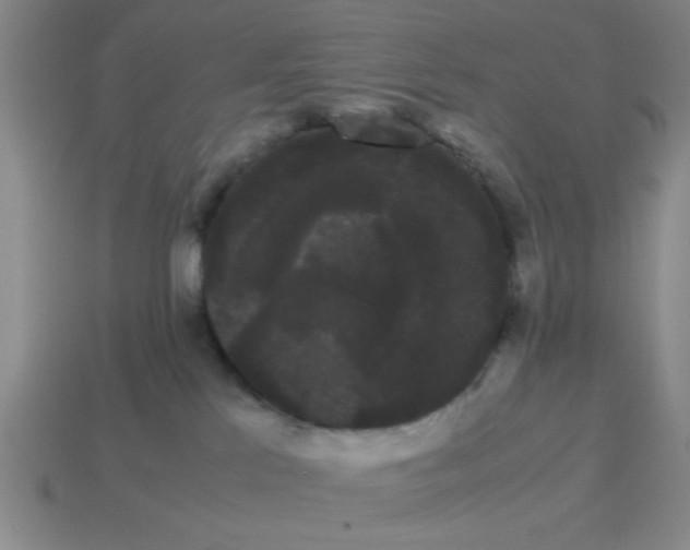 X0000114190041200911061412