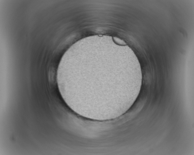 X0000114190044200911061412