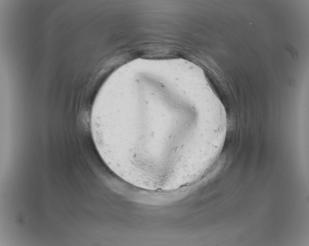 X0000114190045200911061412