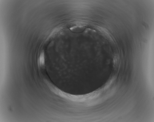 X0000114190046200911061412