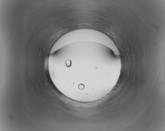 X0000114190047200911061412