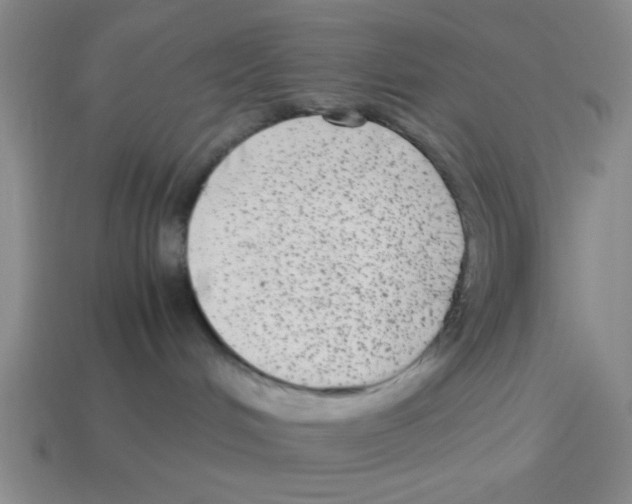 X0000114190048200911061412