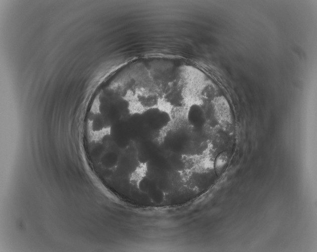 X0000114190049200911061411