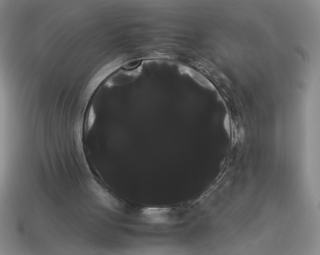 X0000114190051200911061412