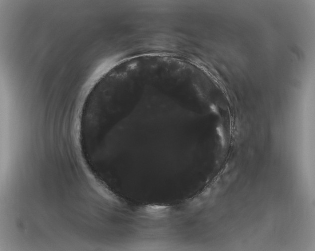 X0000114190055200911061412