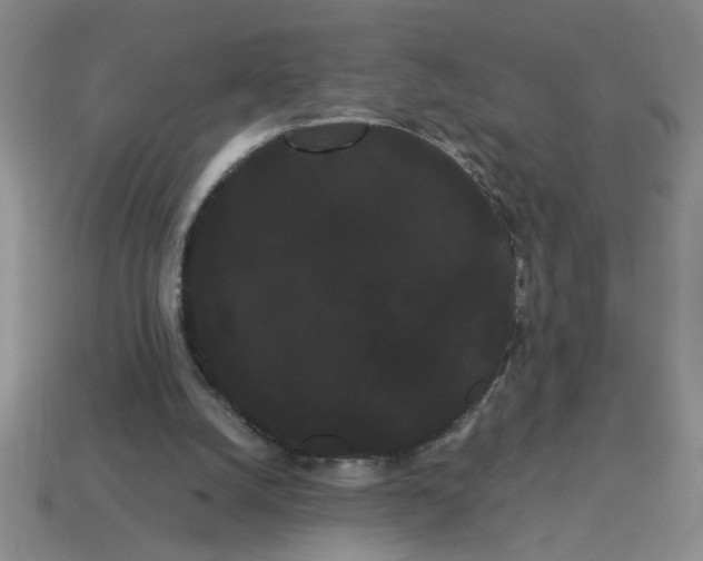 X0000114190056200911061412