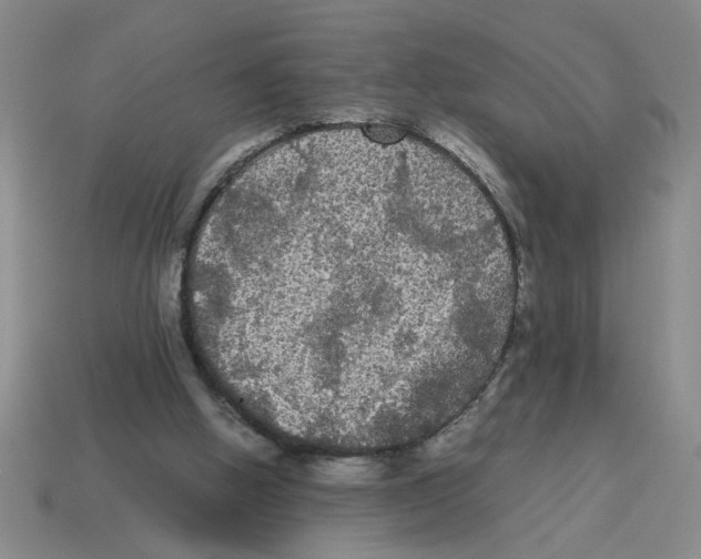 X0000114190058200911061412