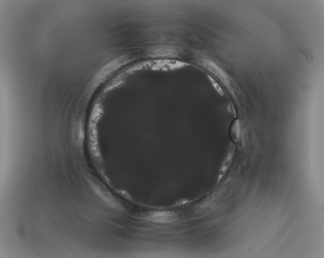 X0000114190059200911061412