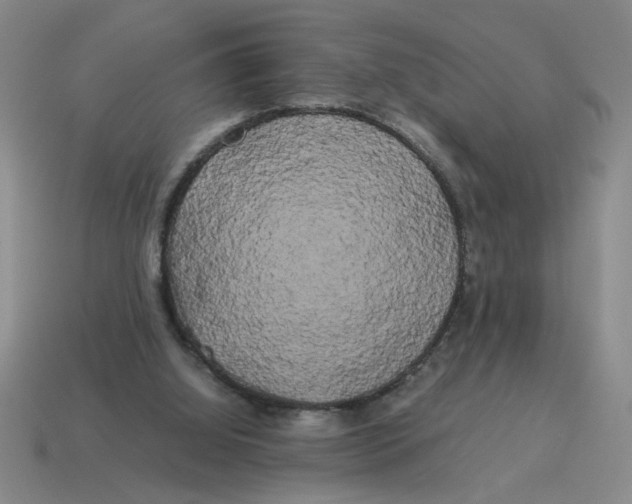 X0000114190060200911061412