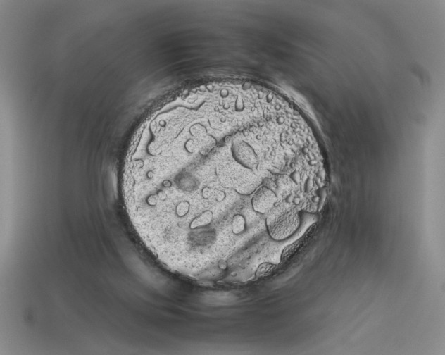 X0000114190061200911061412