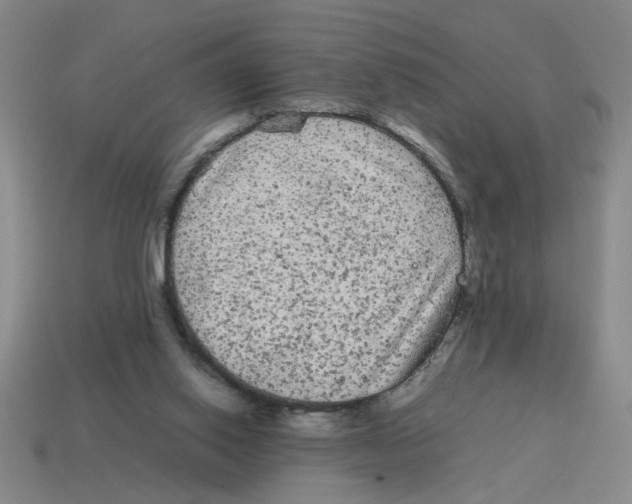 X0000114190062200911061412