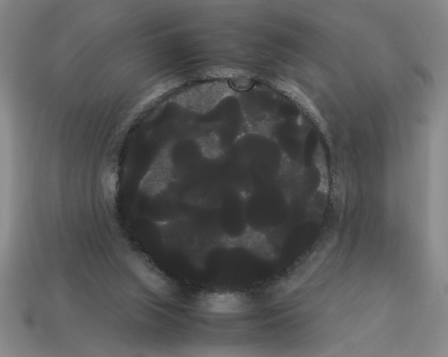 X0000114190063200911061412