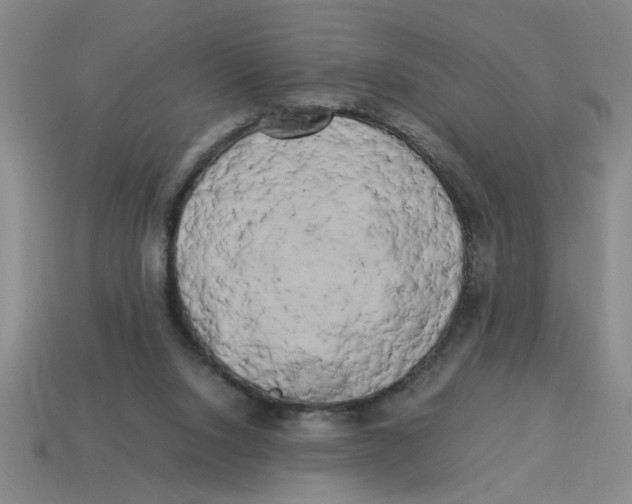 X0000114190064200911061412