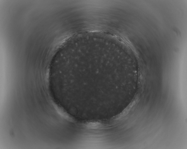 X0000114190066200911061412