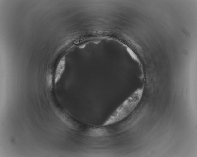 X0000114190067200911061412