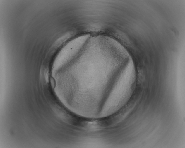 X0000114190068200911061412