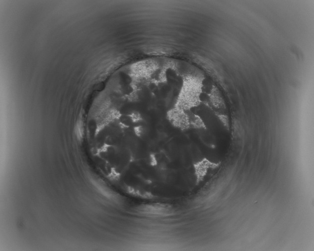 X0000114190069200911061412