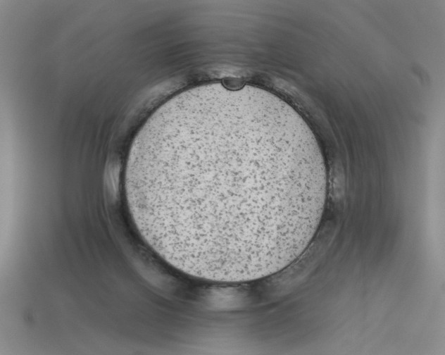 X0000114190070200911061412