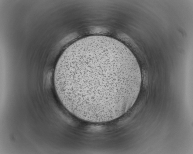 X0000114190071200911061412