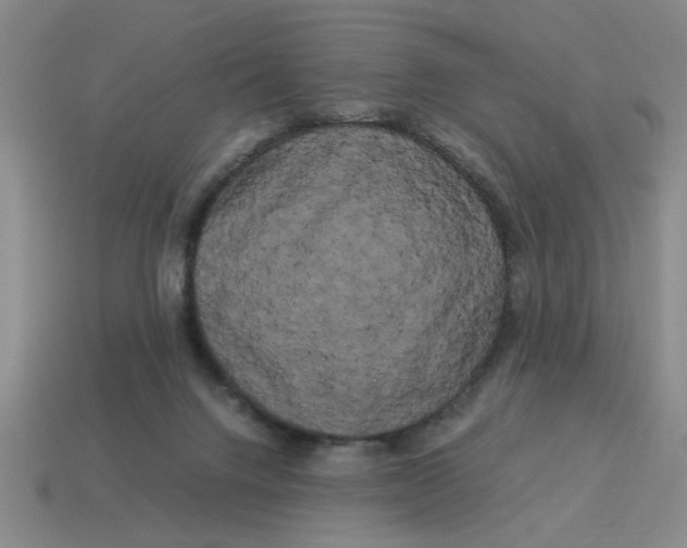 X0000114190072200911061412