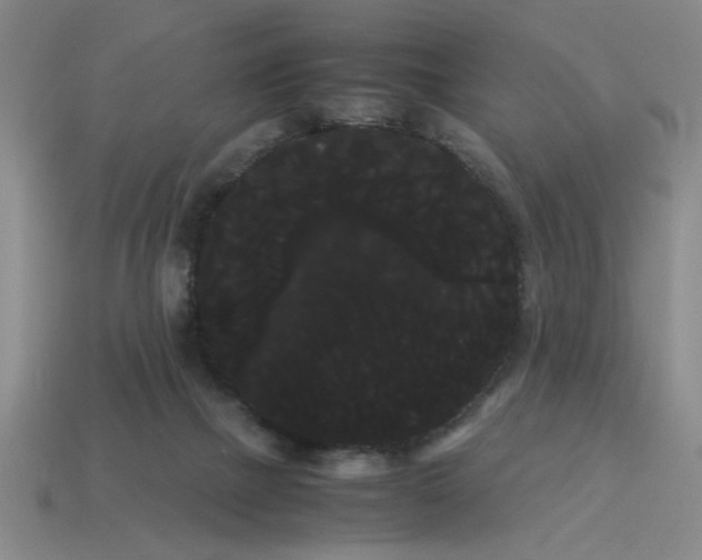 X0000114190073200911061412