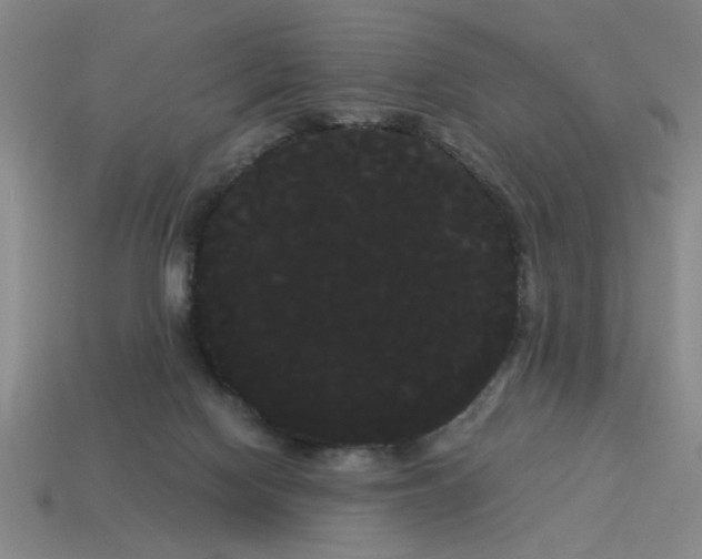 X0000114190074200911061412